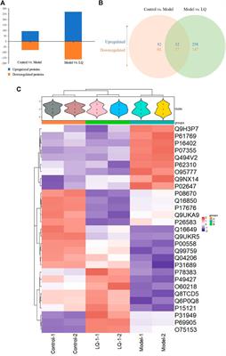 The Protective Effect of Liquiritin in Hypoxia/Reoxygenation-Induced Disruption on Blood Brain Barrier